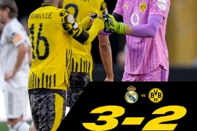 包含赛后西甲焦点战；费耶诺德内部沟通；管理层满意；年轻球员得到机会的词条星空体育官网